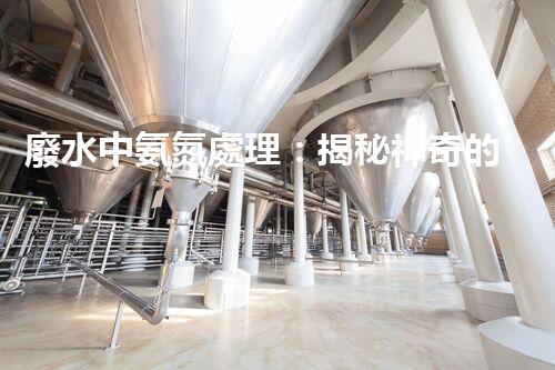 廢水中氨氮處理：揭秘神奇的氨氮轉(zhuǎn)化術(shù)！